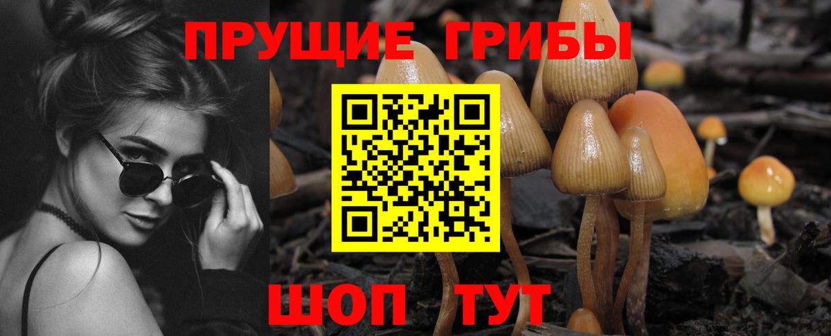Галлюциногенные грибы Cubensis Новый Уренгой