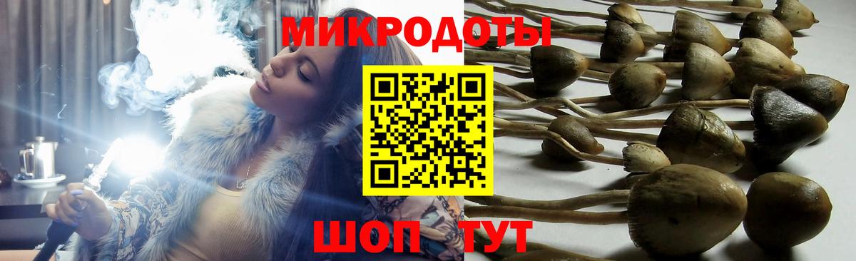 Галлюциногенные грибы мухоморы  где можно купить   Новый Уренгой  Вход с VPN  Галлюциногенные грибы GOLDEN TEACHER 